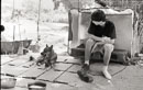 Acros_2_2394i.jpg