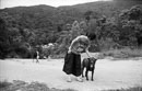 Acros_2_2406.jpg