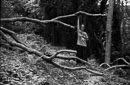 Acros_2_2409.jpg