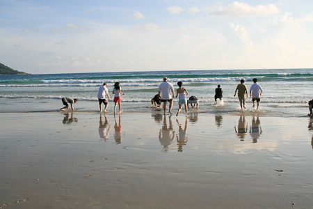 24 mm   ISO 100   1/200 sec at f / 9.0