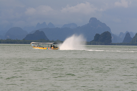 200 mm   ISO 100   1/500 sec at f / 7.1