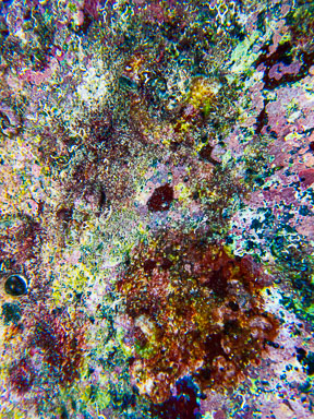 2021 North Ninepin Island