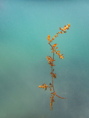 2021 Sharp Island East